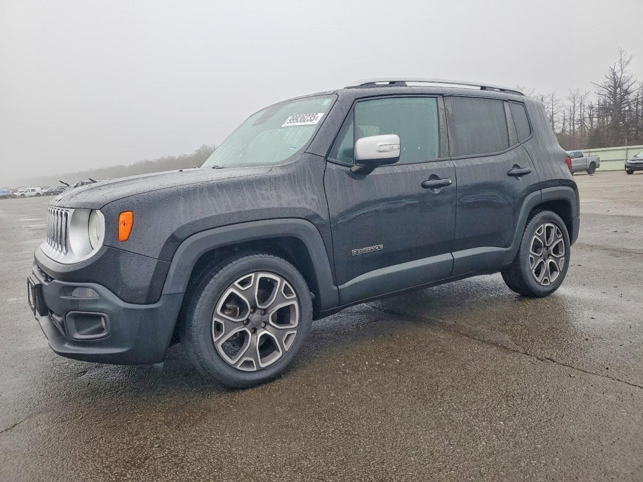 RENEGADE