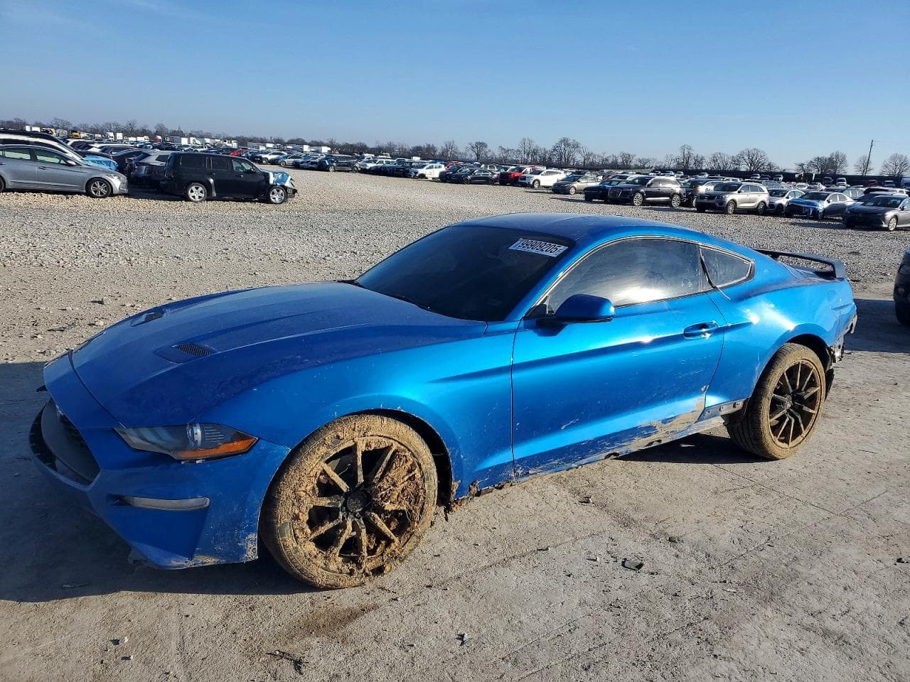 MUSTANG