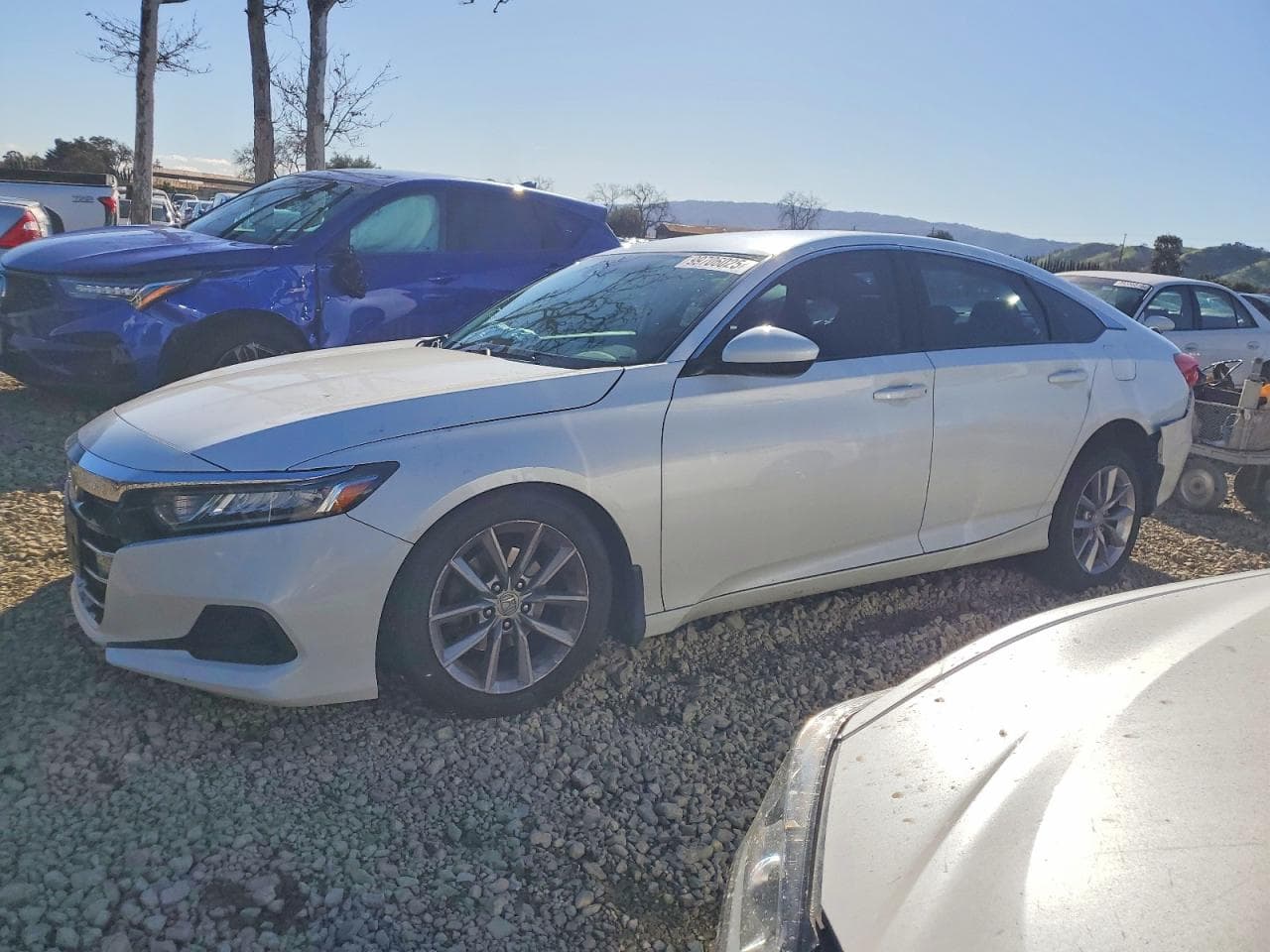 ACCORD