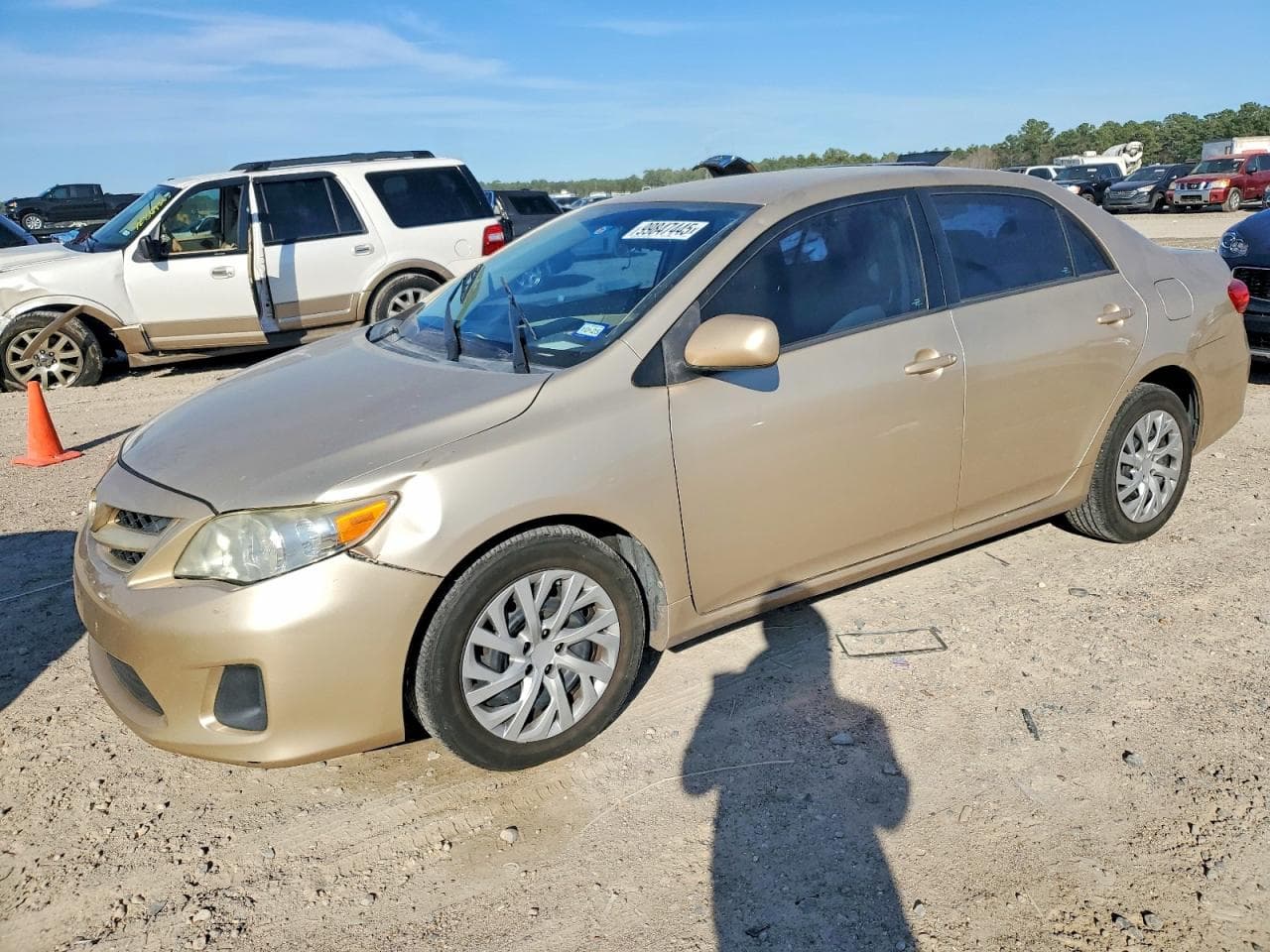 COROLLA