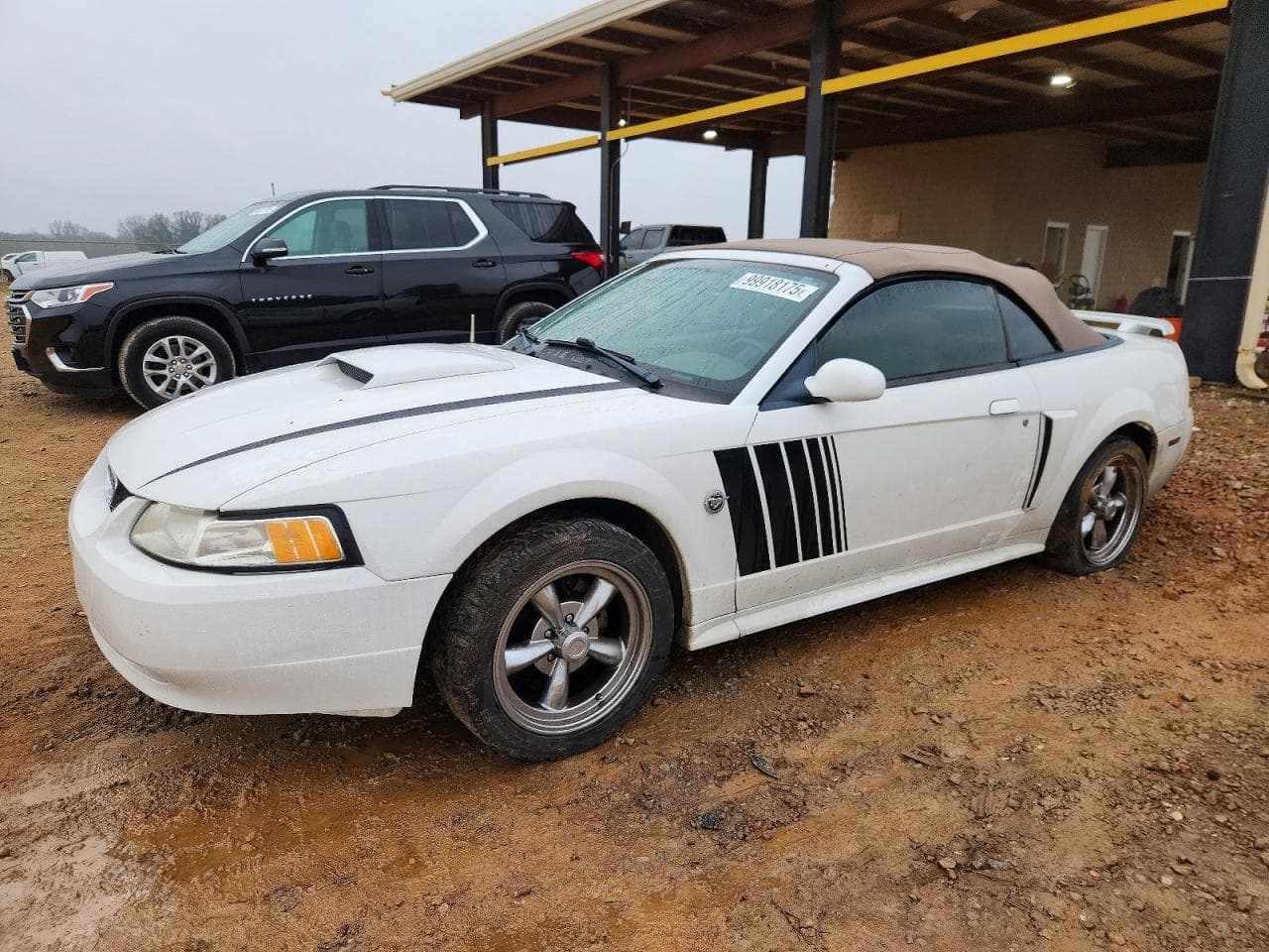 MUSTANG