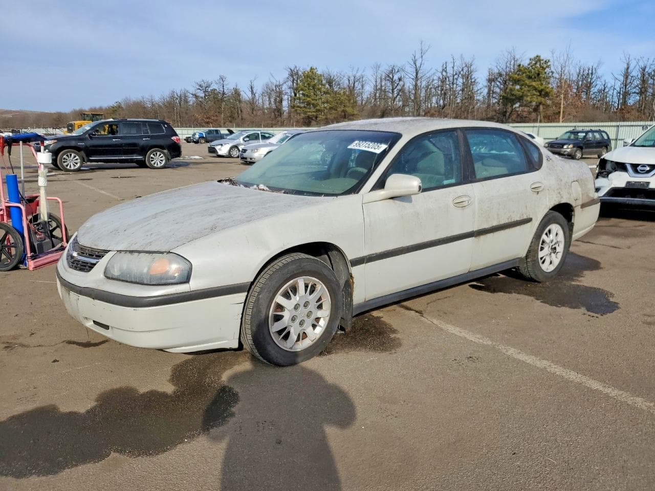 IMPALA