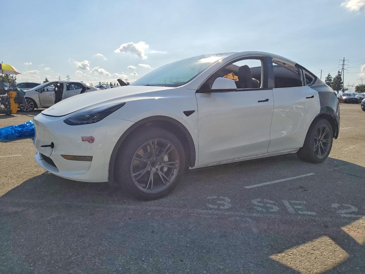 MODEL Y