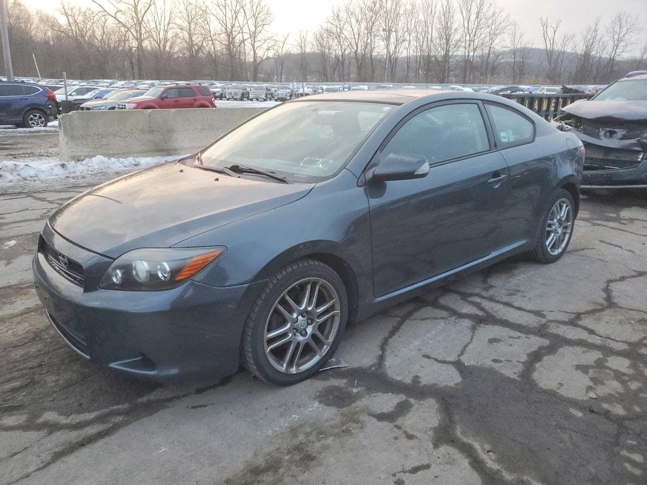 SCION