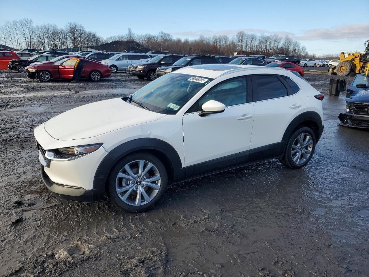 CX30