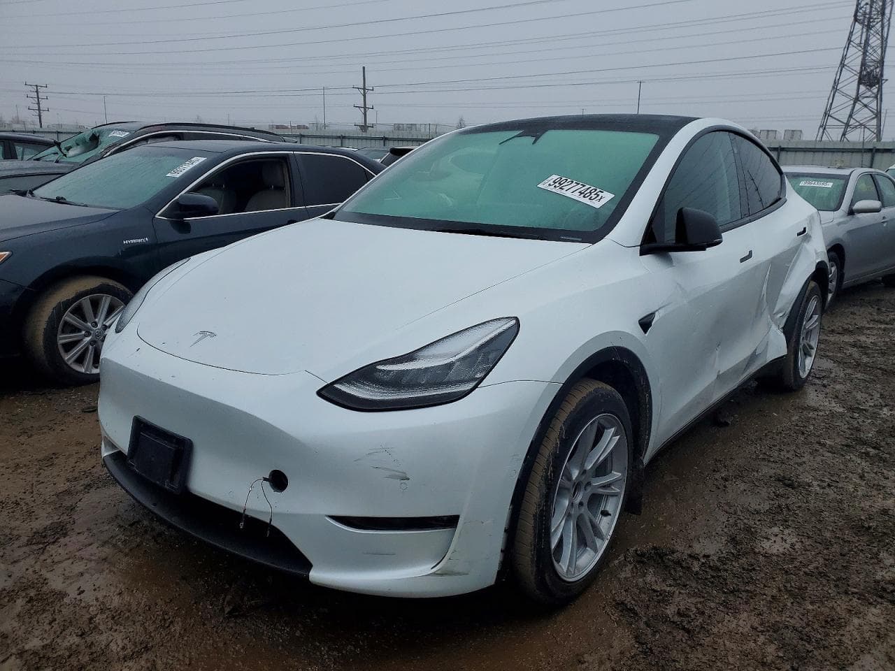 MODEL Y