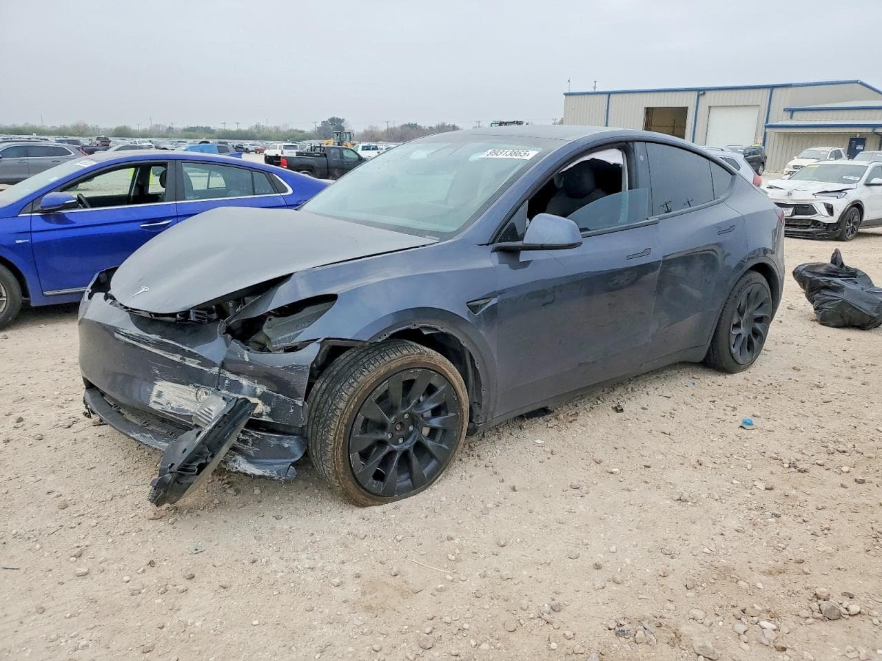 MODEL Y