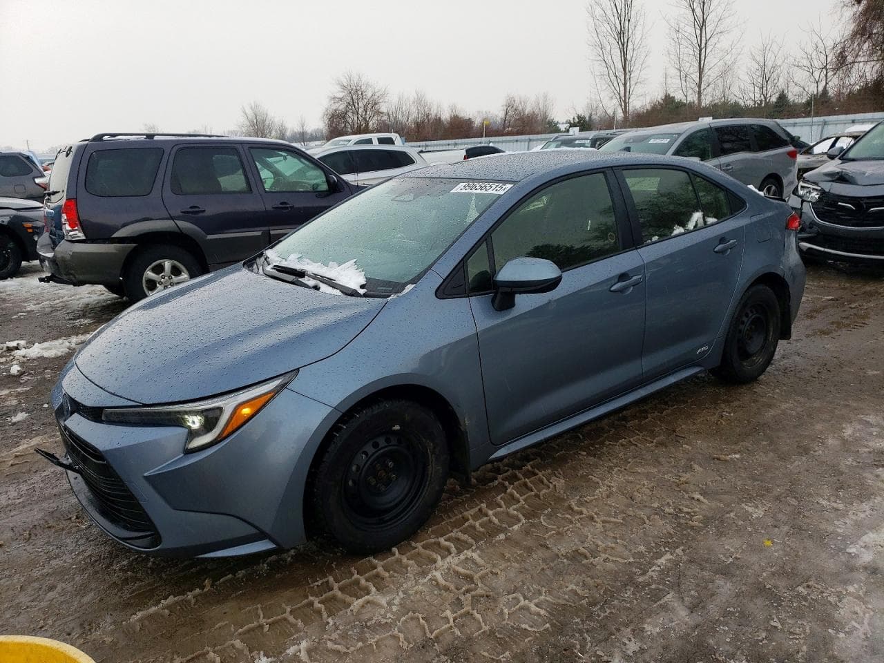COROLLA