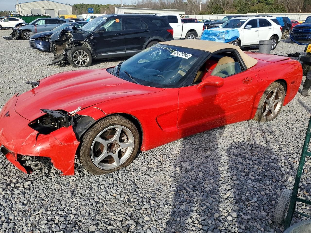 CORVETTE