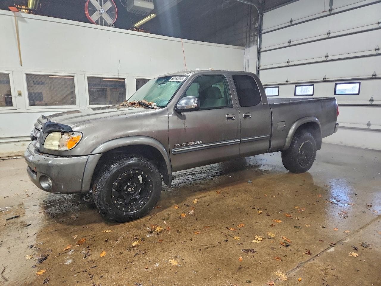 TUNDRA