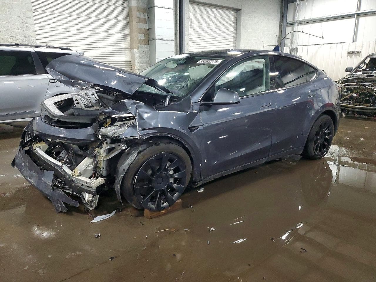MODEL Y