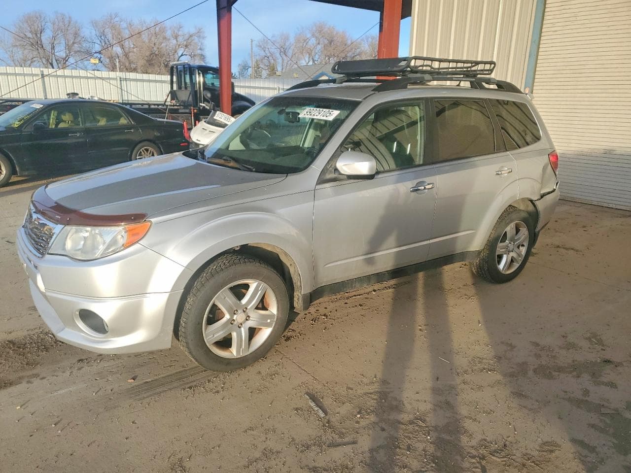FORESTER
