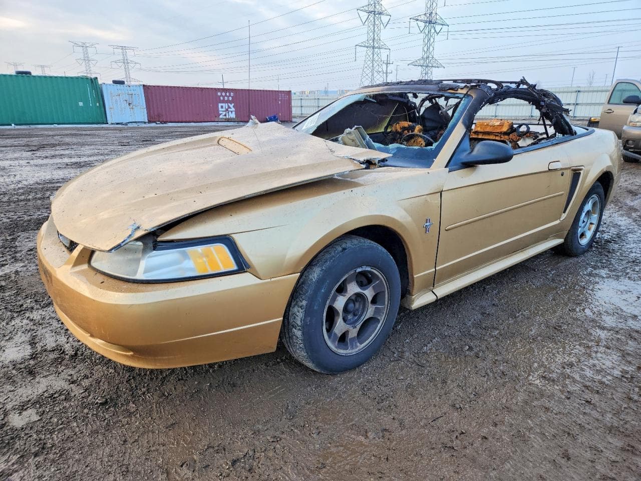 MUSTANG