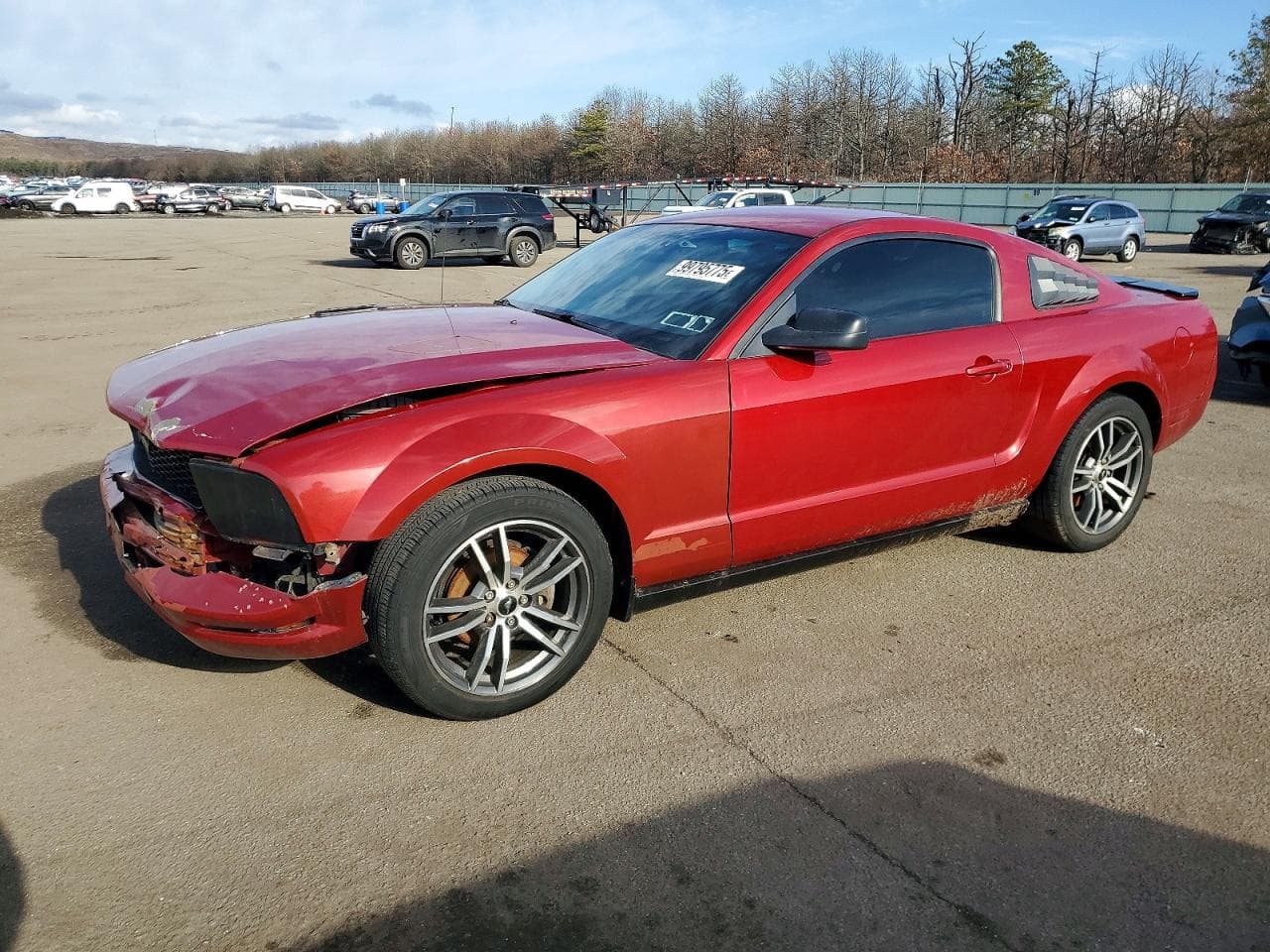MUSTANG