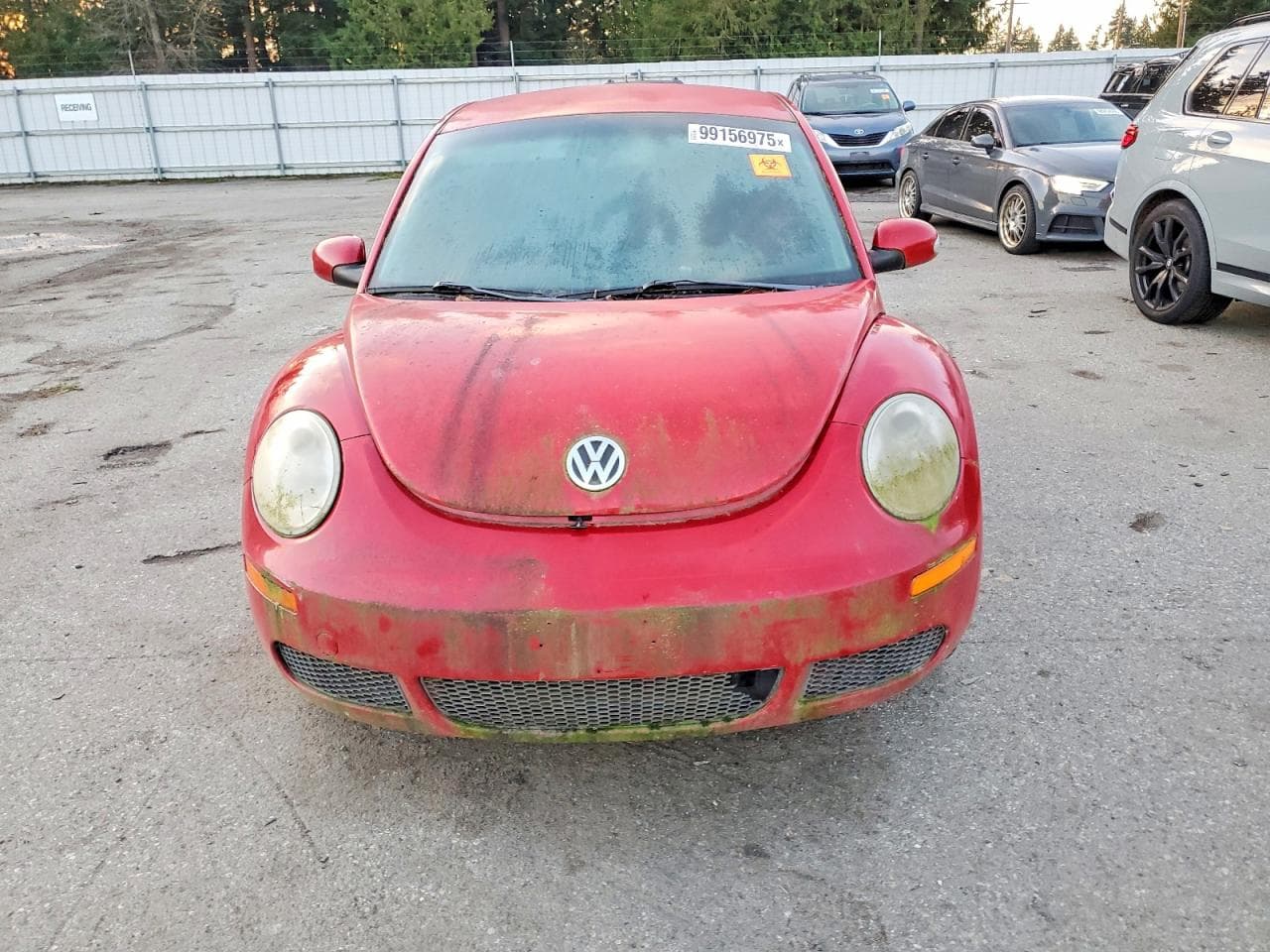 Foto 5