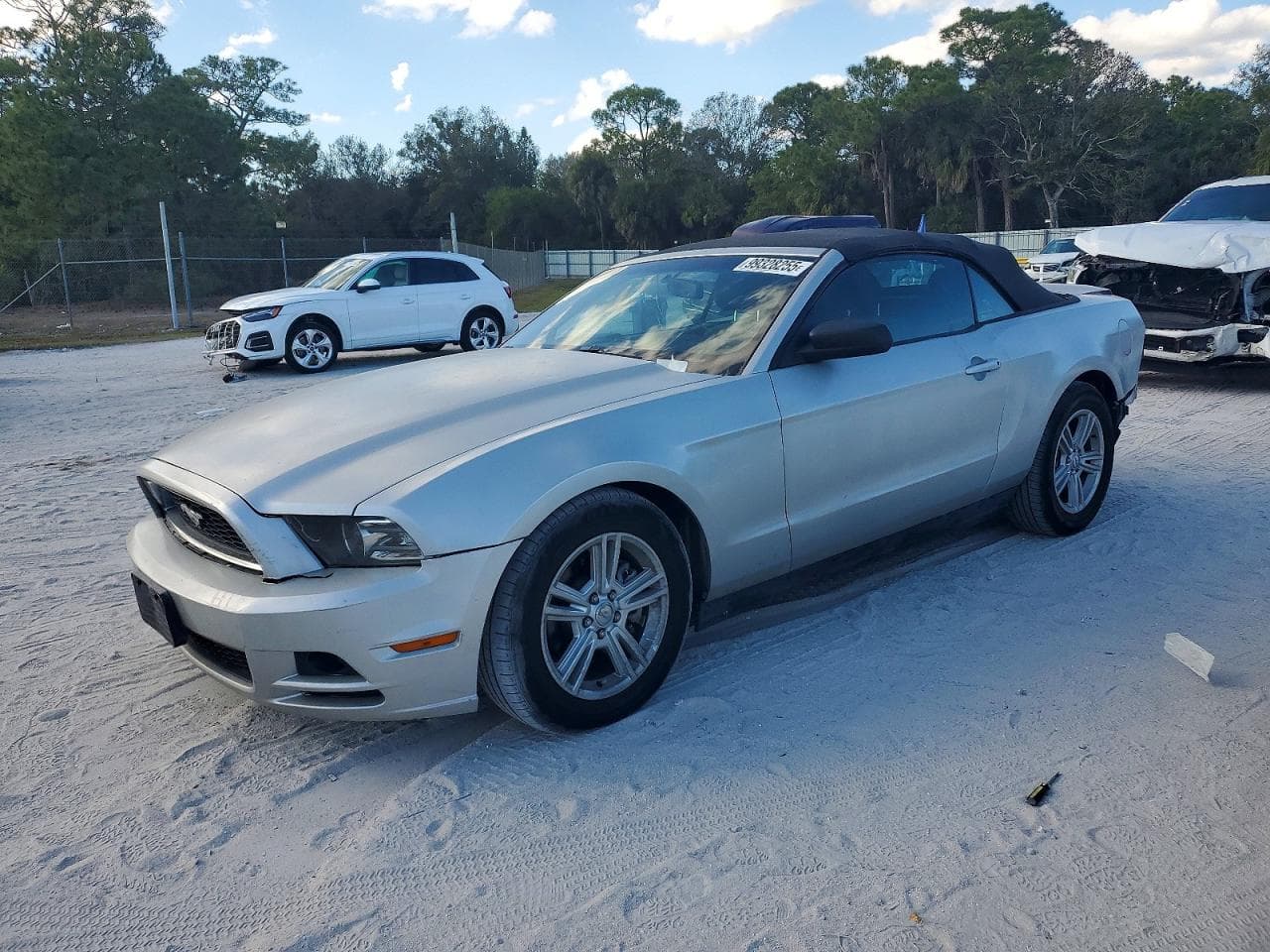 MUSTANG