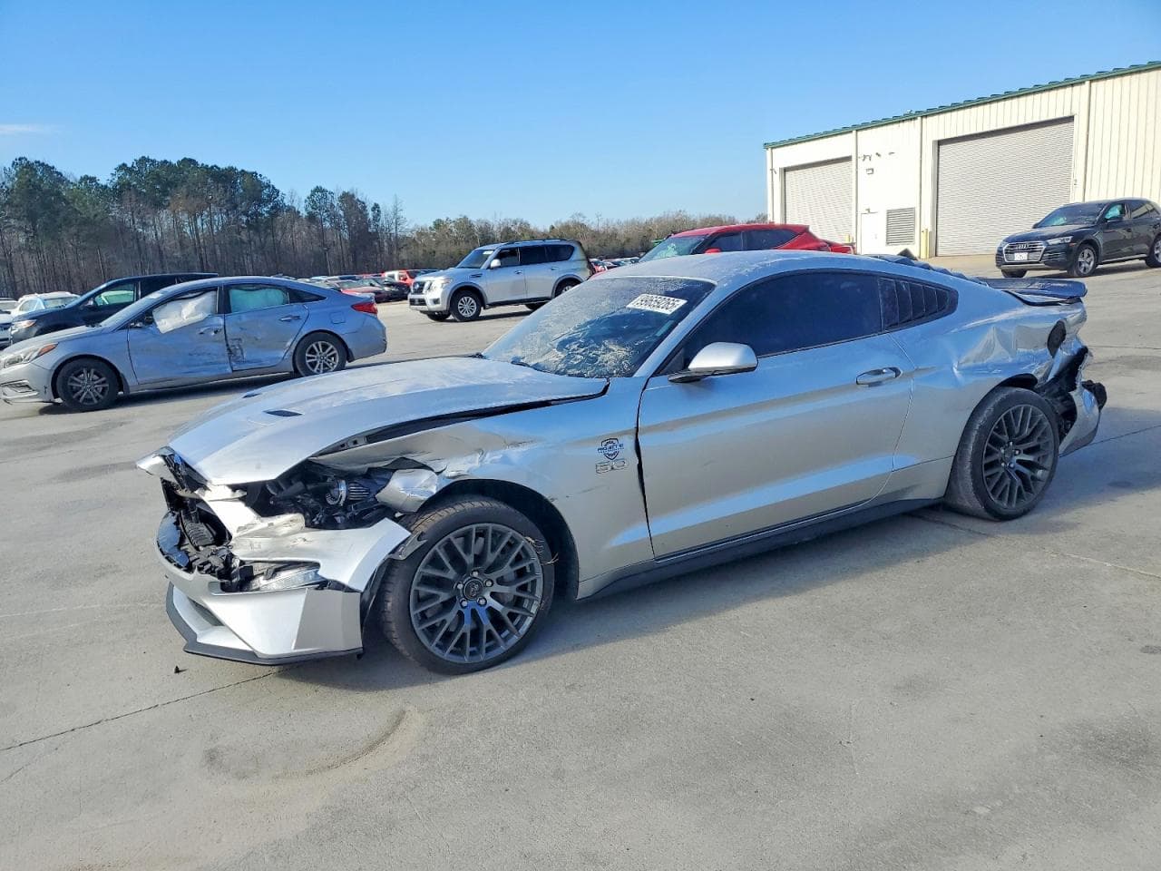 MUSTANG