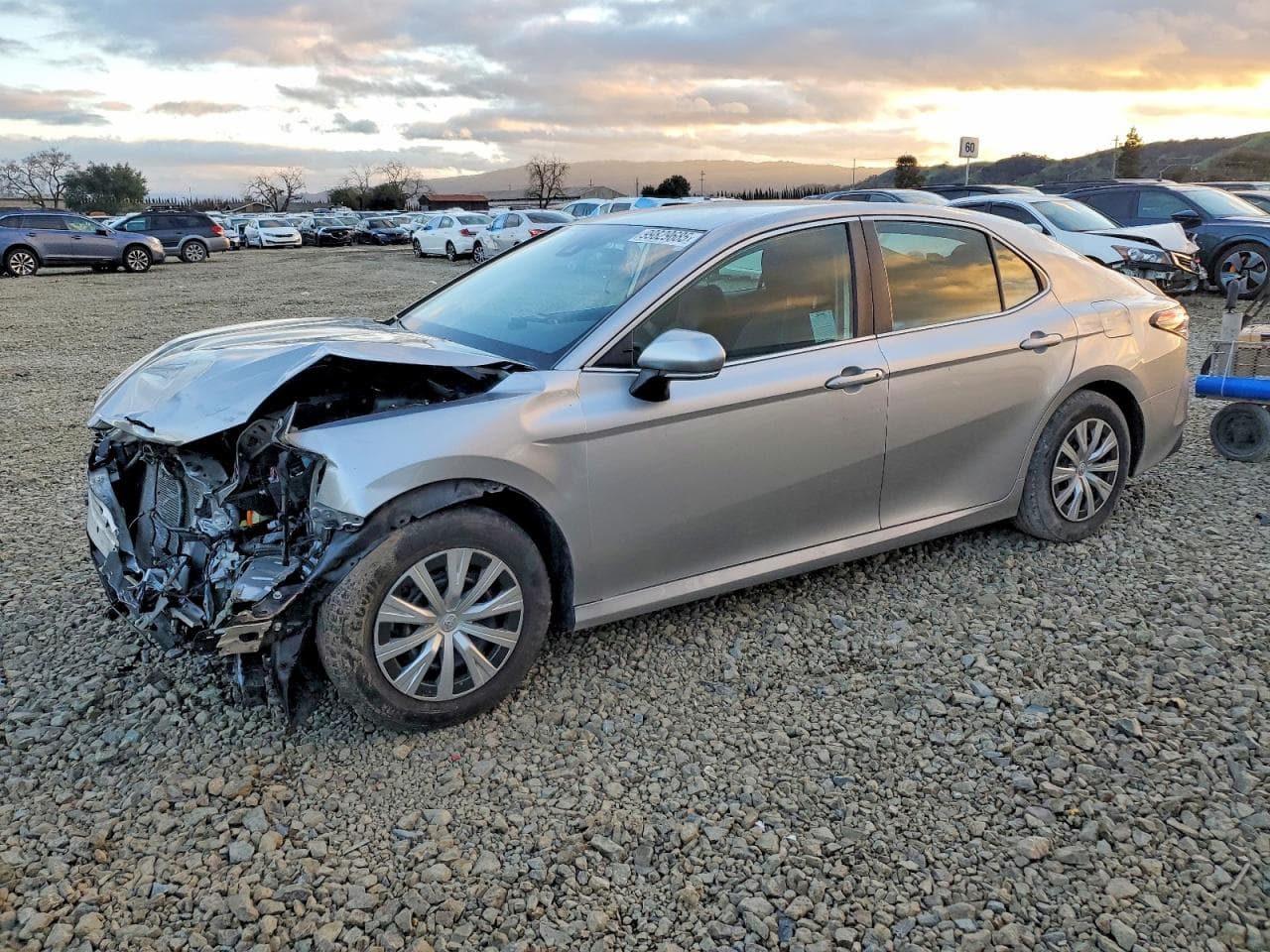 CAMRY
