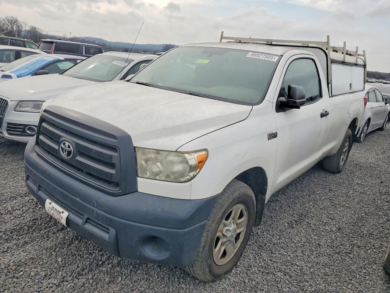 TUNDRA