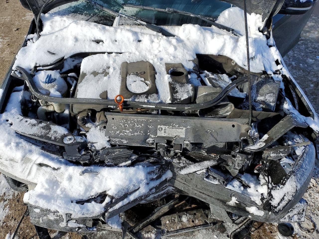 Foto 11