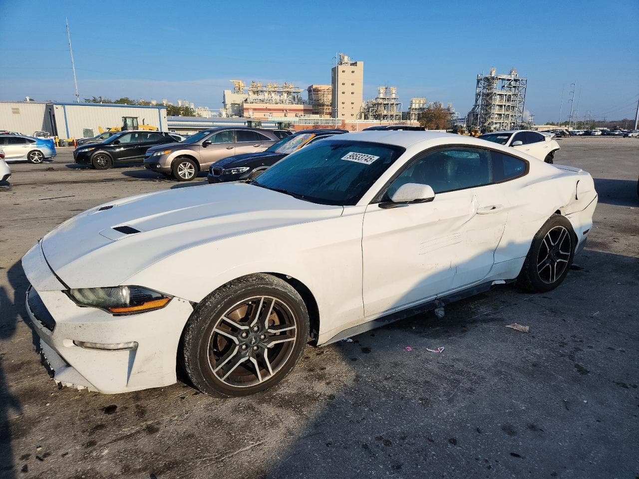 MUSTANG