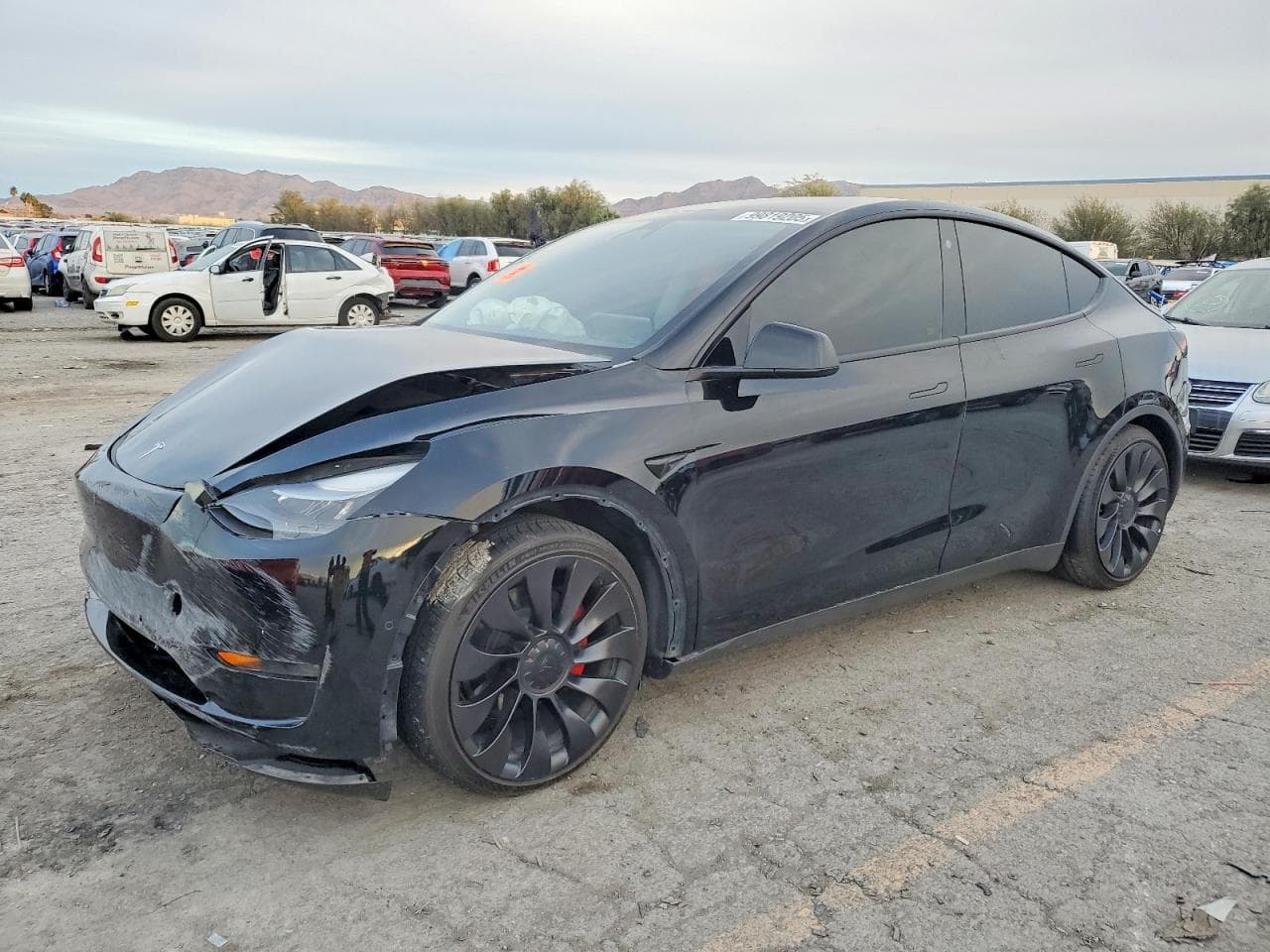 MODEL Y