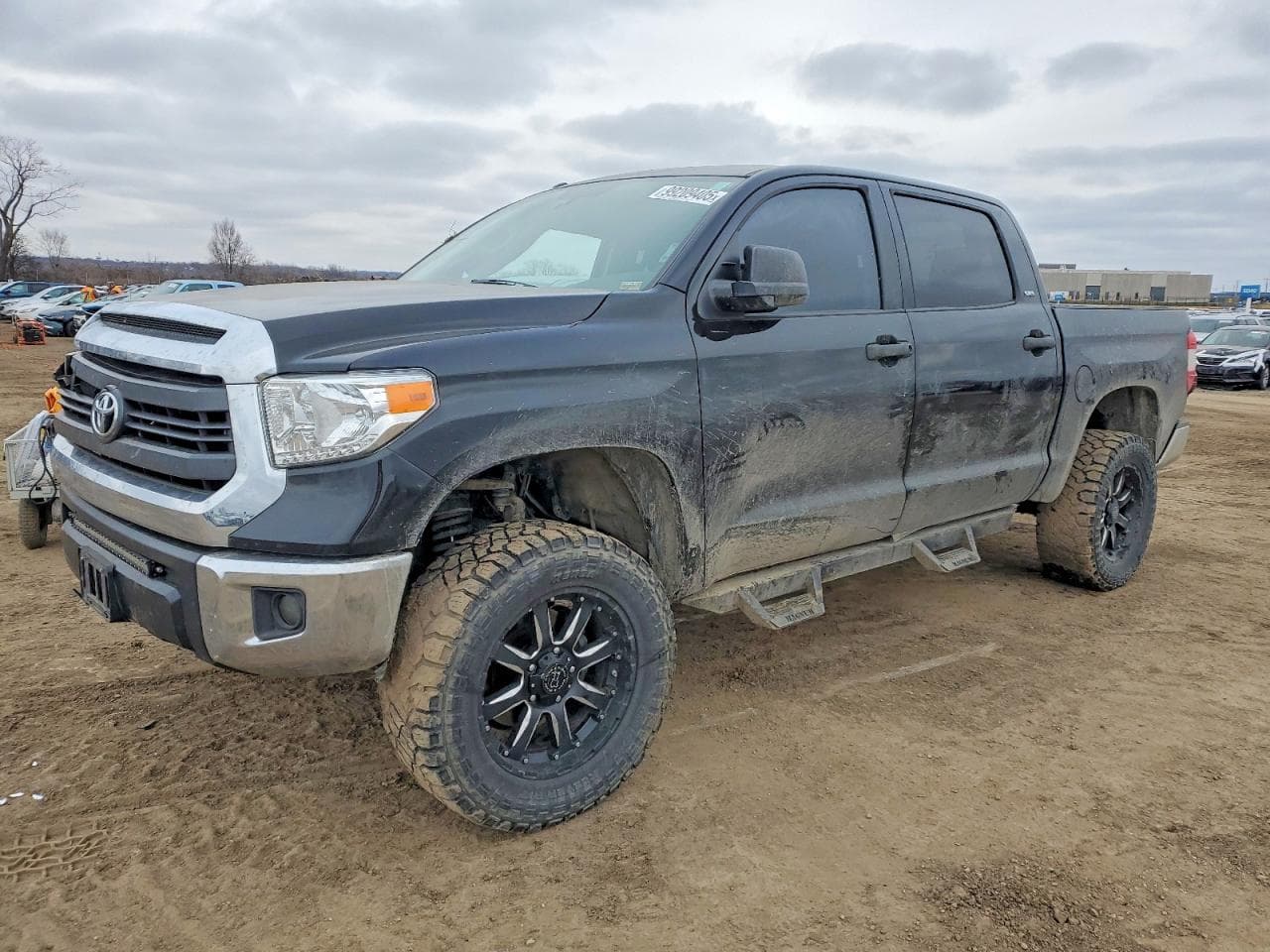 TUNDRA