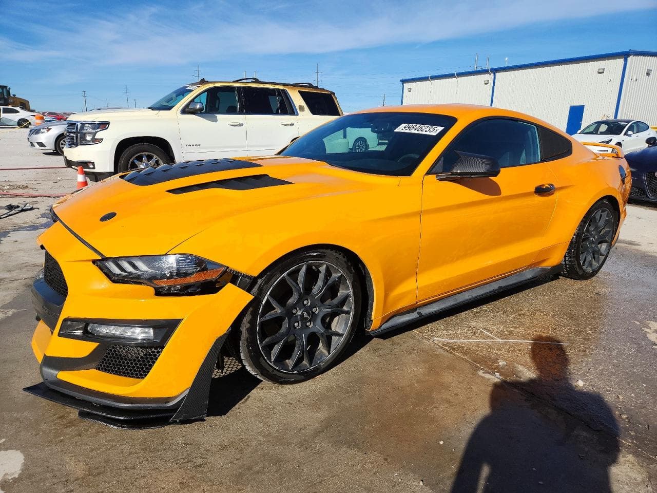 MUSTANG