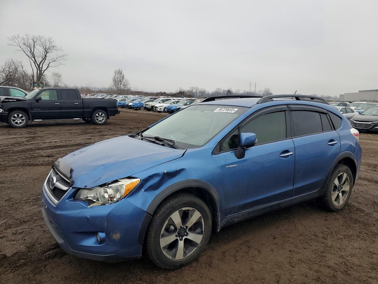 XV