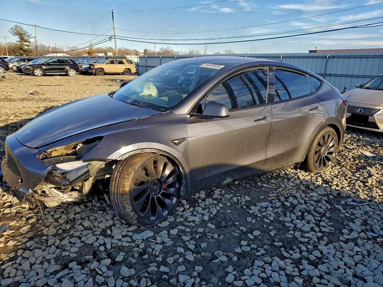 MODEL Y
