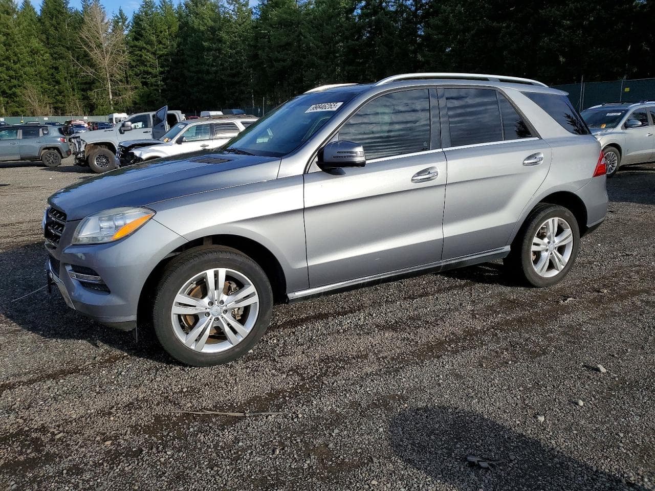 M-CLASS