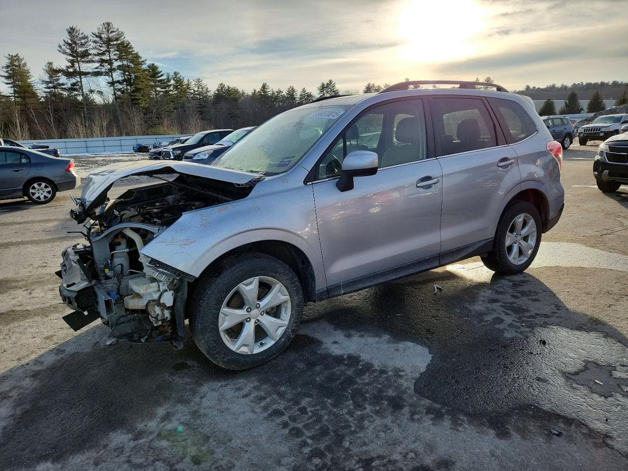 FORESTER