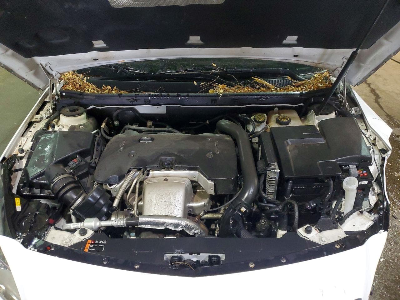 Foto 11
