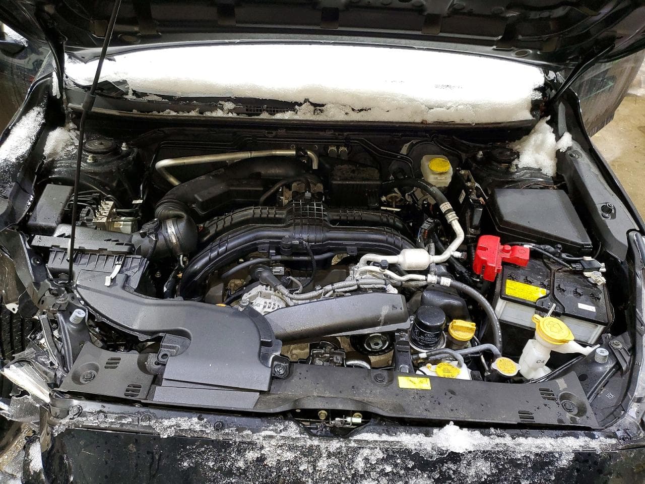 Foto 11