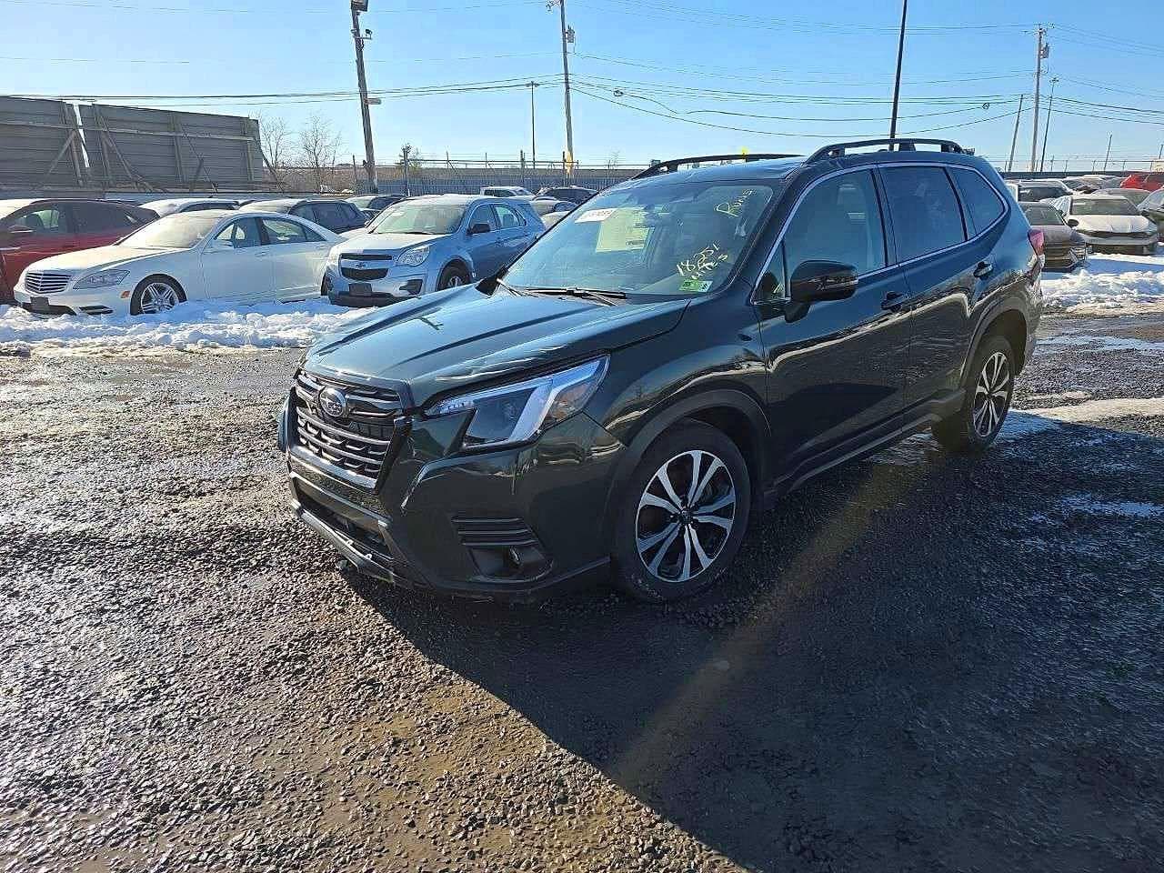 FORESTER