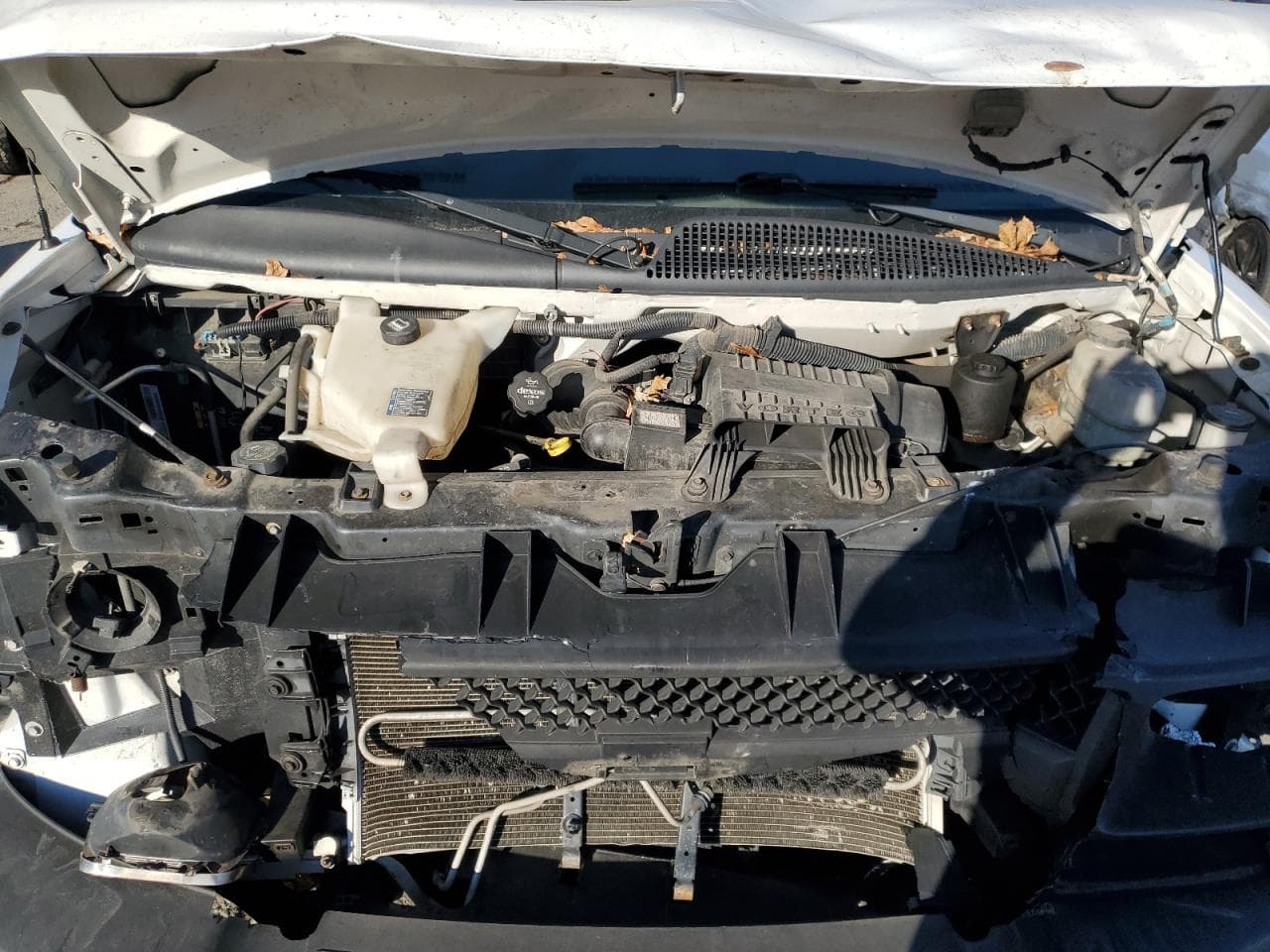 Foto 12