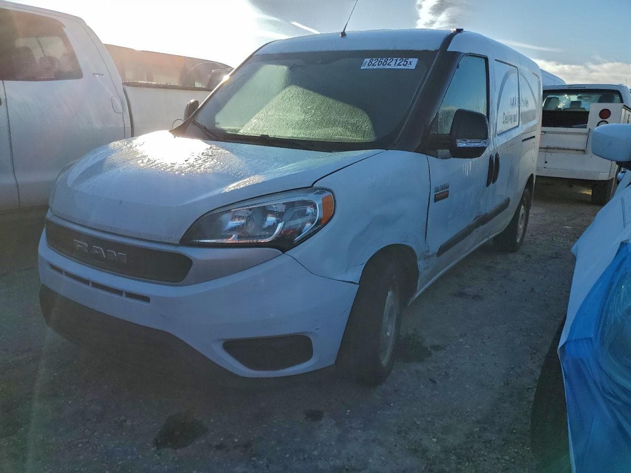 PROMASTER