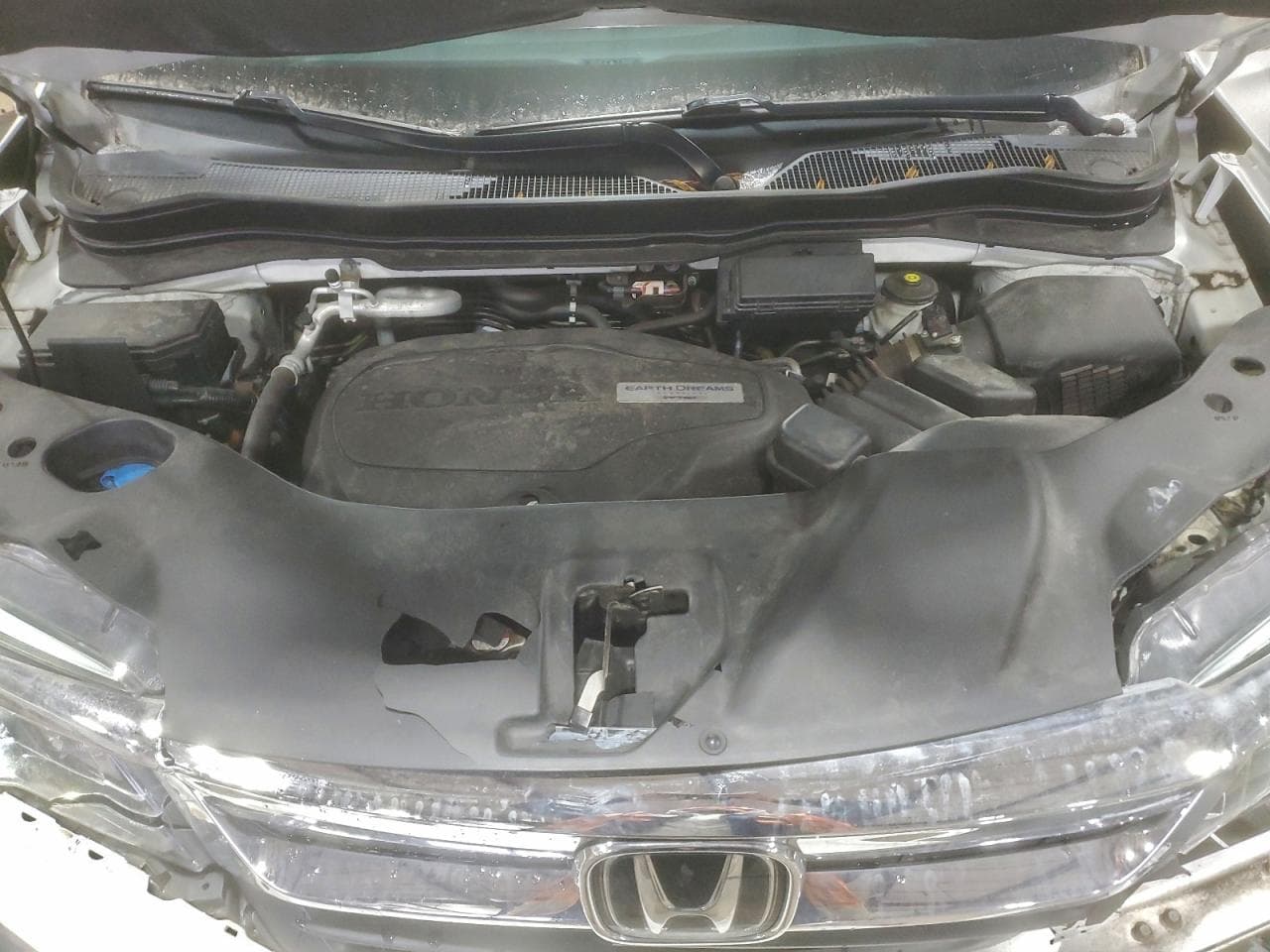 Foto 12
