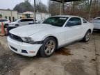 MUSTANG