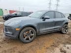 MACAN BASE