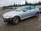 XF