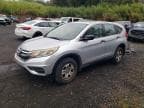 CRV