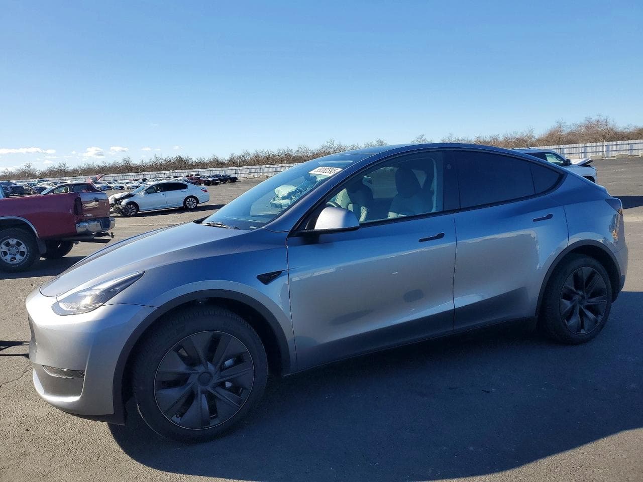 MODEL Y