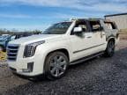 ESCALADE