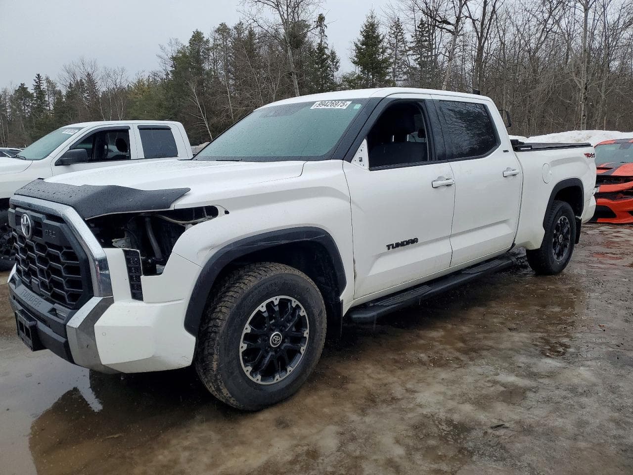 TUNDRA