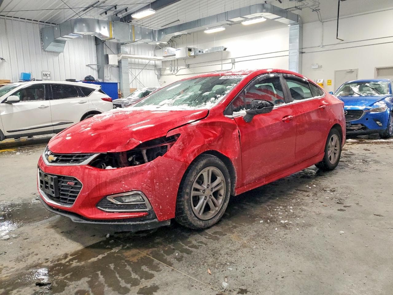 CRUZE