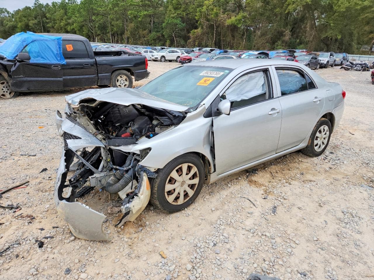 COROLLA