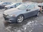 ACCORD