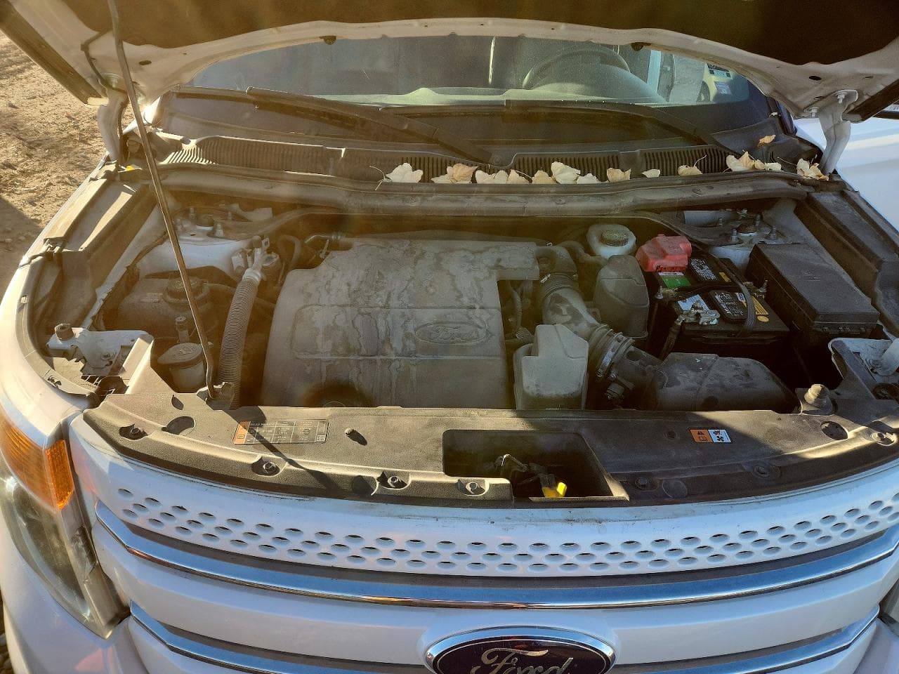 Foto 12