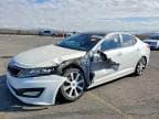 OPTIMA